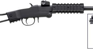 CHIAPPA LITTLE BADGER .22LR