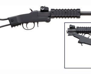 CHIAPPA LITTLE BADGER .17HMR