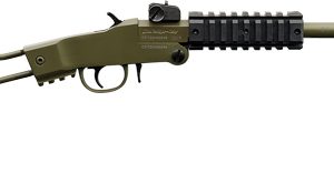 CHIAPPA LITTLE BADGER .22LR