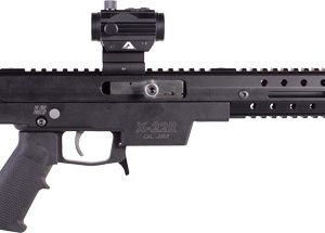 EXCEL X22R RIFLE .22LR 10RD