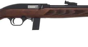 ROSSI RS22 .22LR RIFLE SEMI