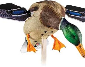 AVIAN X POWERFLIGHT SPINNING