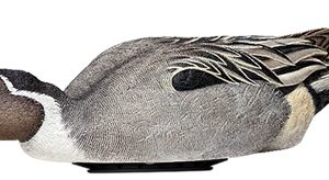 AVIAN X POWER SHAKER PINTAIL