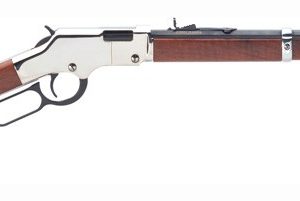HENRY GOLDEN BOY SILVER .22WMR