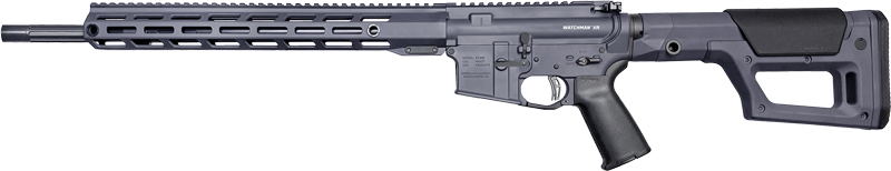 GWM22ARCGRY18_LEFT.jpg