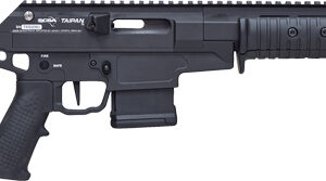 CITADEL TAIPAN 300BLK PUMP - 16.5" STEEL BBL THREADED 10RD