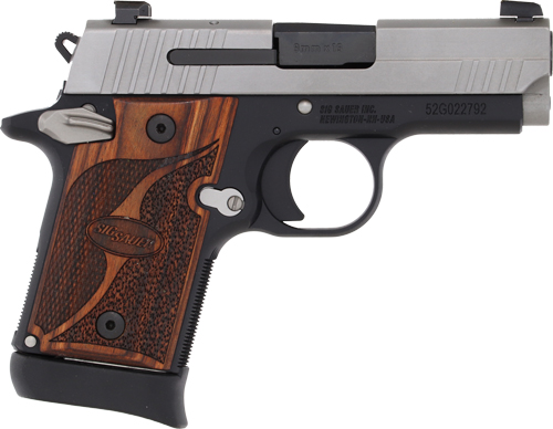 Sig Sauer 6 G9389TXR3AMBI